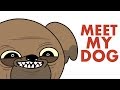 Meet My Dog Animated