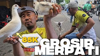 Download lagu KIOS MERPATI TERMURAH!!! CEK HARGA BIKIN MELONGO DI KIOS GROSIR BURUNG DARA PASAR MINGGU mp3 Download lagu KIOS MERPATI TERMURAH!!! CEK HARGA BIKIN MELONGO DI KIOS GROSIR BURUNG DARA PASAR MINGGU mp3