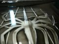 THE WET WET EVIL SPIDERMAN 89 CHEVY CAPRICE BOX CHEVY