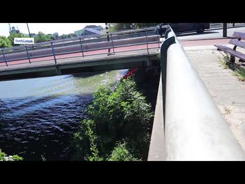 Overleden man gevonden onder brug