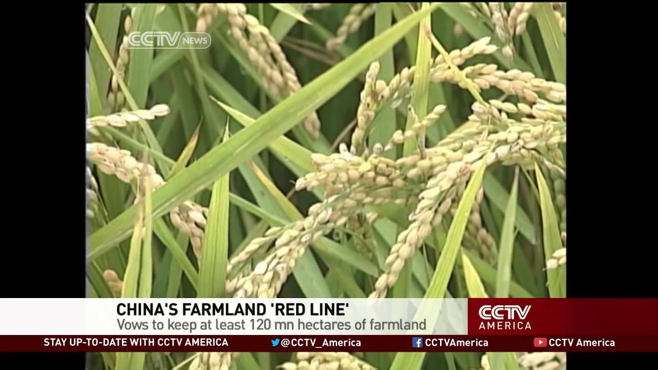 Concerns over food security in China