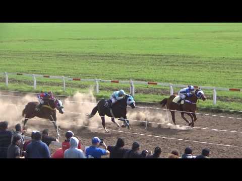 Claudioturf Hipódromo El Lucero: Sastre Don Tito, Take To Win, Martira 02.08.2026