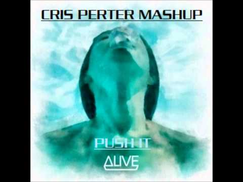 Push it Alive  Thomas Gold & Dirty South vs Stephan Luke  Cris Perter Bootleg