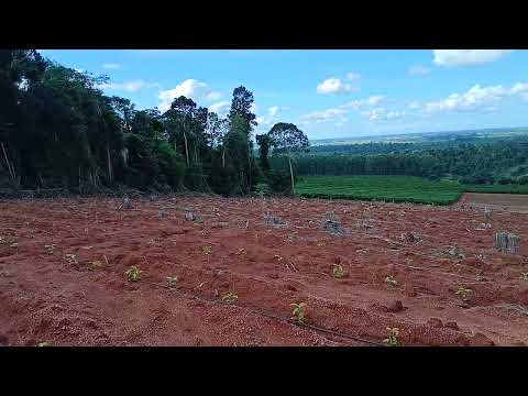 Rio bananal  terra do café ES BRASIL..