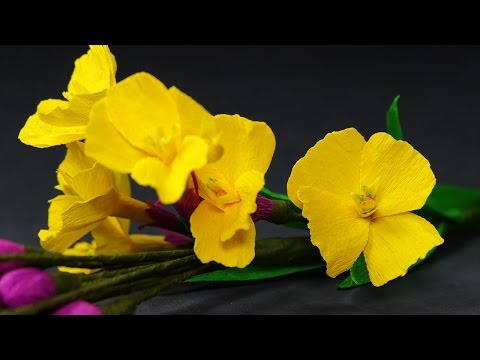 Paper Flower Making - DIY Crepe Paper Hardy Wallflower