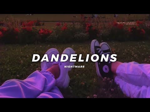 Dandelion-Slowed reverb/ Nightmare