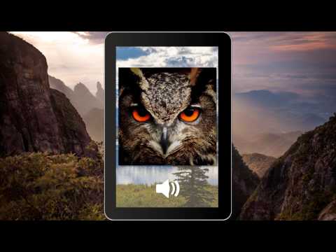 Wild Animals Puzzle Games: WildLife America Video