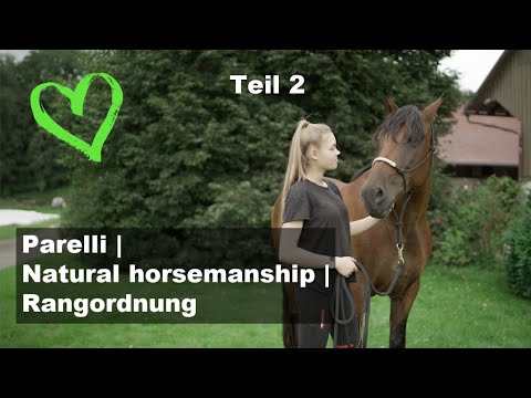 7 Spiele nach Pat Parelli | Natural horsemanship I Rangordnung I TEIL 2