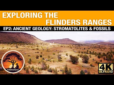 Exploring The Flinders Ranges - Ancient Geology: Stromatolites & Fossils | @4xAdventures #touring