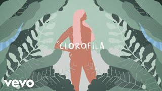 Clorofila Lyrics English Translation