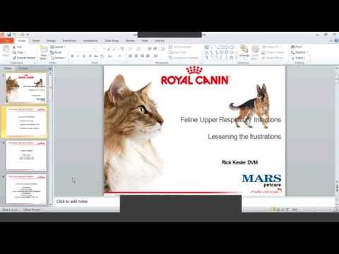 What you need to know on URI in cats