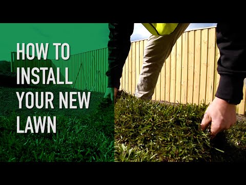 How to install a new lawn | Instant Turf Installation