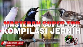 Download lagu KOMPILASI MASTERAN MURAI MEWAH DARI KENARI CUCAK JENGGOT CUNGKOK GEREJA TARUNG AUDIO JERNIH mp3 Download lagu KOMPILASI MASTERAN MURAI MEWAH DARI KENARI CUCAK JENGGOT CUNGKOK GEREJA TARUNG AUDIO JERNIH mp3