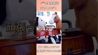 弦で開離聴音やってみた