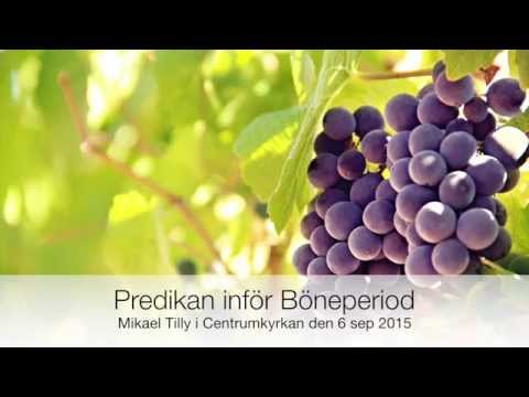 Predikan inför Böneperiod i Centrumkyrkan av Mikael Tilly