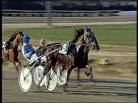 Trotto 20/01/2017 - 1ª corsa