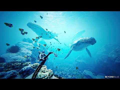 Beyond Blue Gameplay Walkthrough Part 1