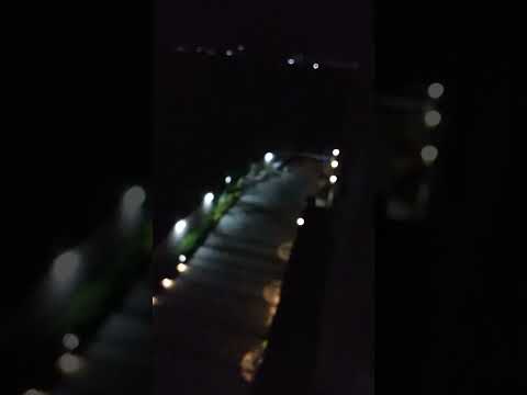 foxes in night #warewolf #wolfatnight #wolf #wolfstory #wolfmovie #foxmovie #fox #foxesatnight