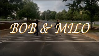 Bob & Milo | Feature Film