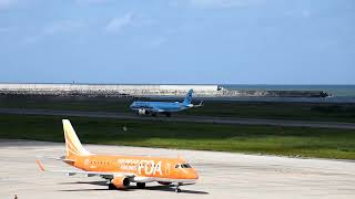 大韓航空 エアバスA321neo 新潟空港着陸