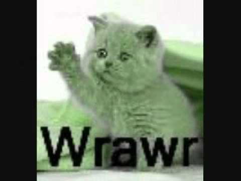 TRY TO WATCH WITHOUT LAUGHING! + COOL EFFECTS AND FUNKY MUSIC!!!