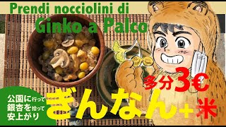銀杏を拾ってイタリアで銀杏ごはん!Prendi nocciolini di Ginko a Parco e mangiamo!美味しく食べて肺を守るcosì proteggiamo polmoni!