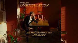 Cover art for Inarticulation