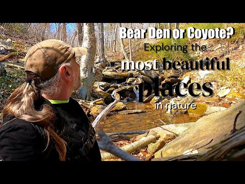 Deep in the Woods | Found this in the Mountains Scouting Whitetails