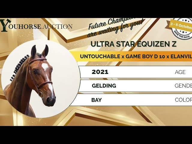 Ultra Star Equizen flatworkvideo