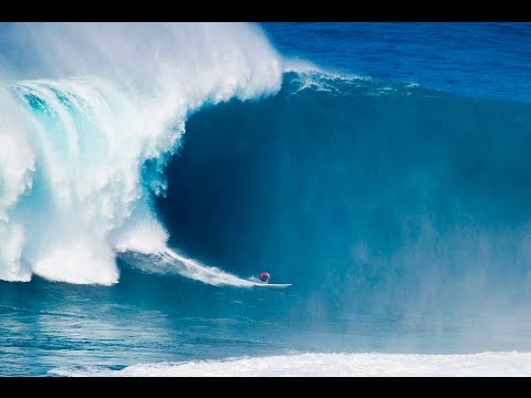 15/01/2016 - Pedro Calado em Jaws - BIDU / @bidudigital