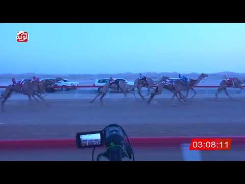  ش 2 (متعبة) لـ سليم الدحبة الحسيني العفاري 6:27:16 , شارة الديوان 1 2026/09/13 ايذاع الوقن