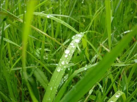 Lucie - Má to cenu žít