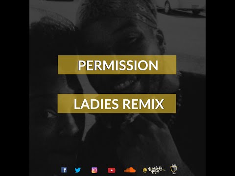 Ro James Permission (Ladies Remix)