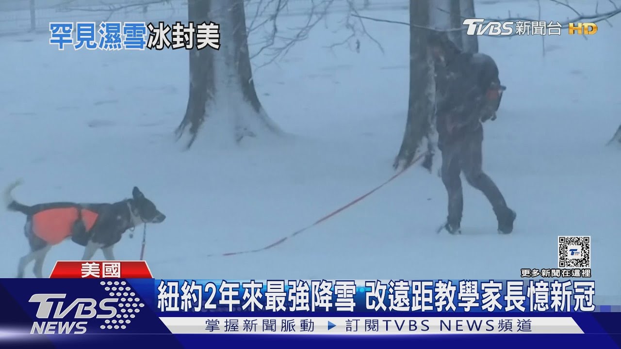 紐約2年來最強降雪 改遠距教學家長憶新冠