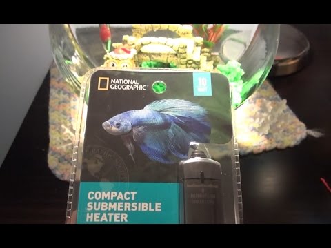 National Geographic 10w Aquarium Heater Unboxing and Installation