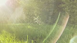The Warming Sun - Grandaddy