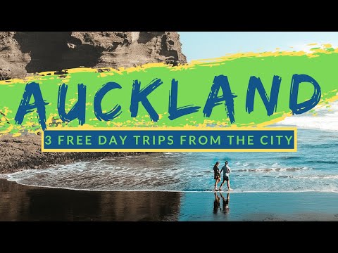 3 FREE DAY TRIPS FROM AUCKLAND | Beaches, Hikes, Islands & a Bird Colony! [+ FREE CAMPING TIPS]