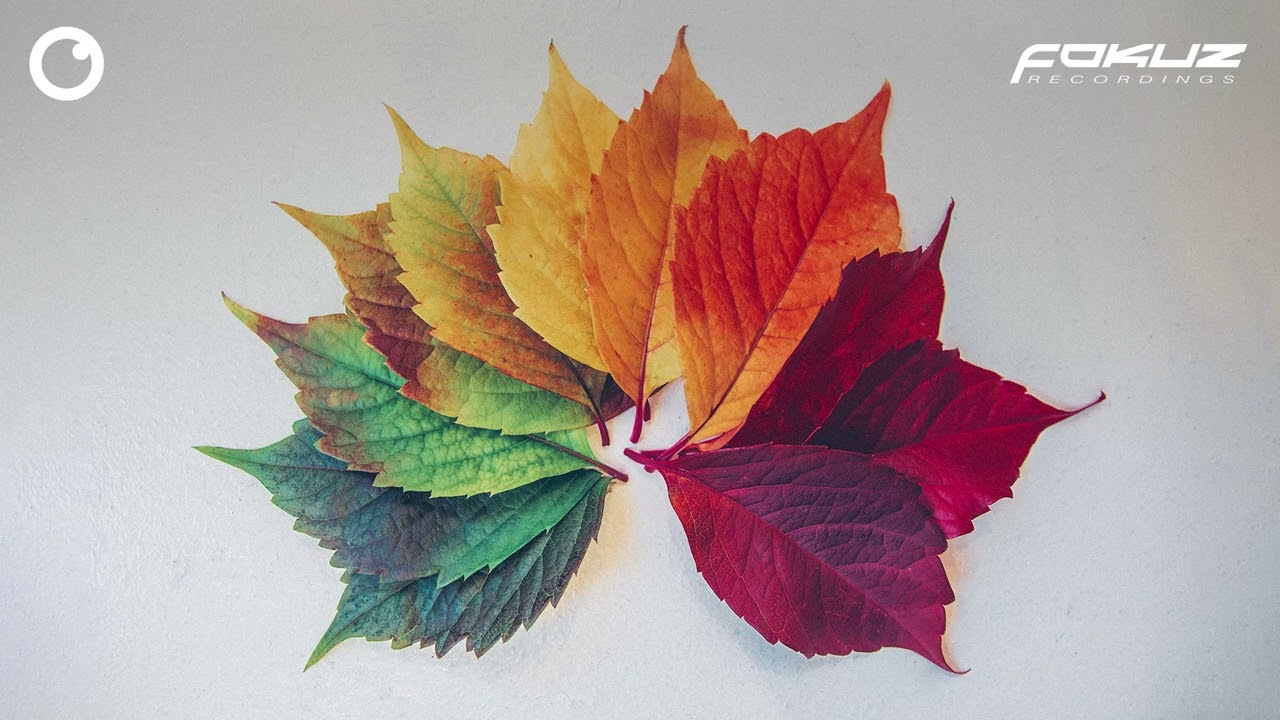 Evasion - Words You Said