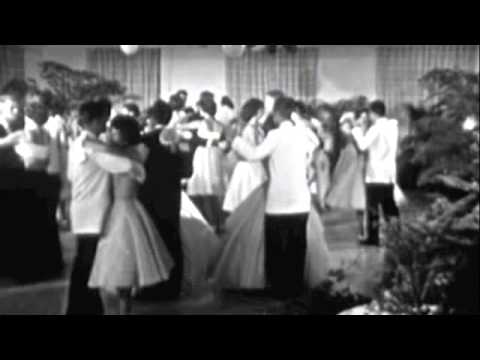 Shanghaied - Zachary Cale