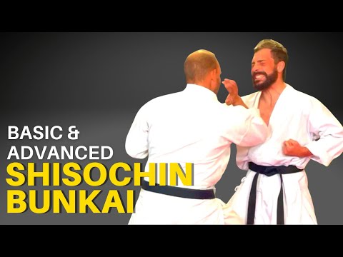 Shisochin Bunkai for Goju Ryu: Basic and Advanced