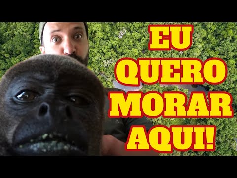 UM HOTEL NO MEIO DA AMAZÔNIA