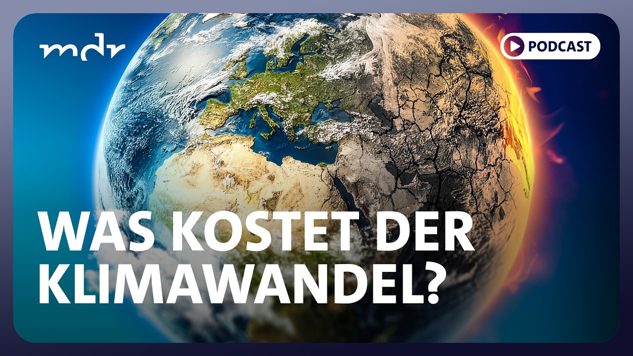 Hitzestress: Kein Klimaschutz wird auch teuer | Podcast ARD Klima Update | MDR