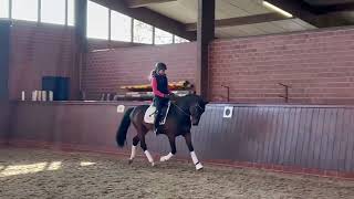 Video of Der erste Mai