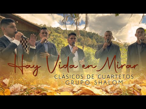 Hay Vida En Mirar - Grupo Shalom - Clásicos De Cuartetos (Grabado En Vivo)