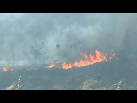 Video Thumbnail: Greece wildfires rage near Athens | AFP