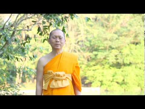 ขยายขนาดอวัยวะเพศ 2 สัปดาห์ที่ผ่านมา ยารักษาความอ่อนแอ