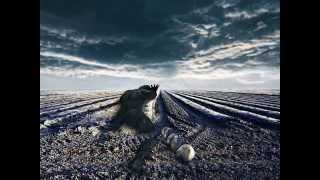 *Giorno per Giorno* - *Pooh*