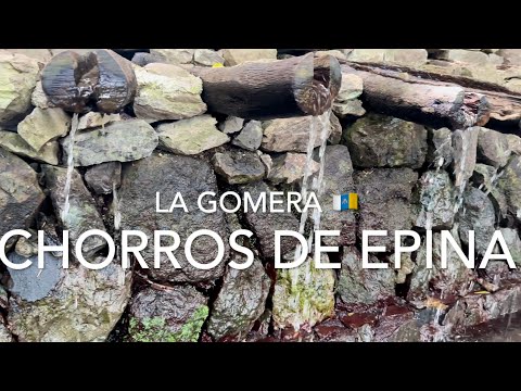 Chorros de Épina, La Gomera (4K)