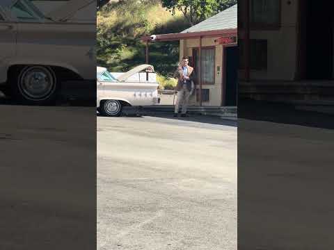 Just another victim at the bates motel