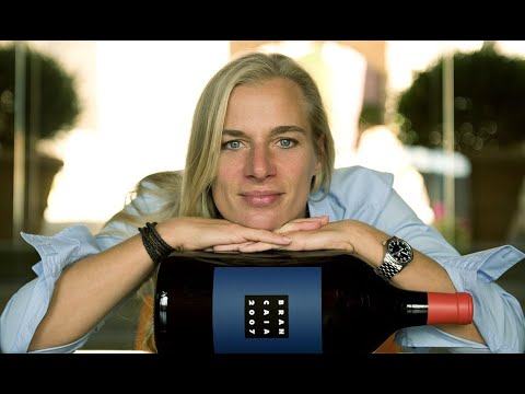 Brancaia Super Tuscans - https://www.mywineplus.com/collections/tuscany